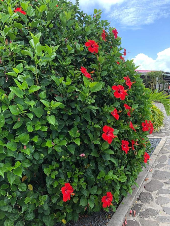 Lovely Apartment In Flic En Flac, Close To The Beach And All Amenities. Eksteriør billede